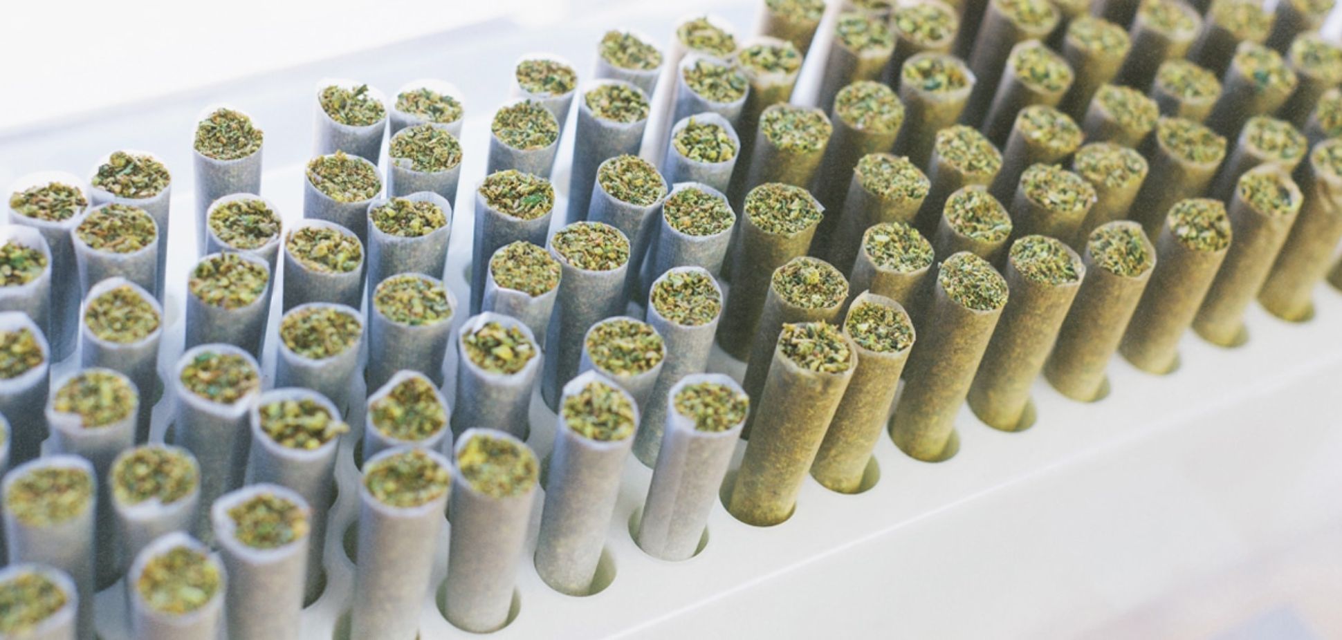 Joint or Cone? How to Choose the Right Pre-Roll for You