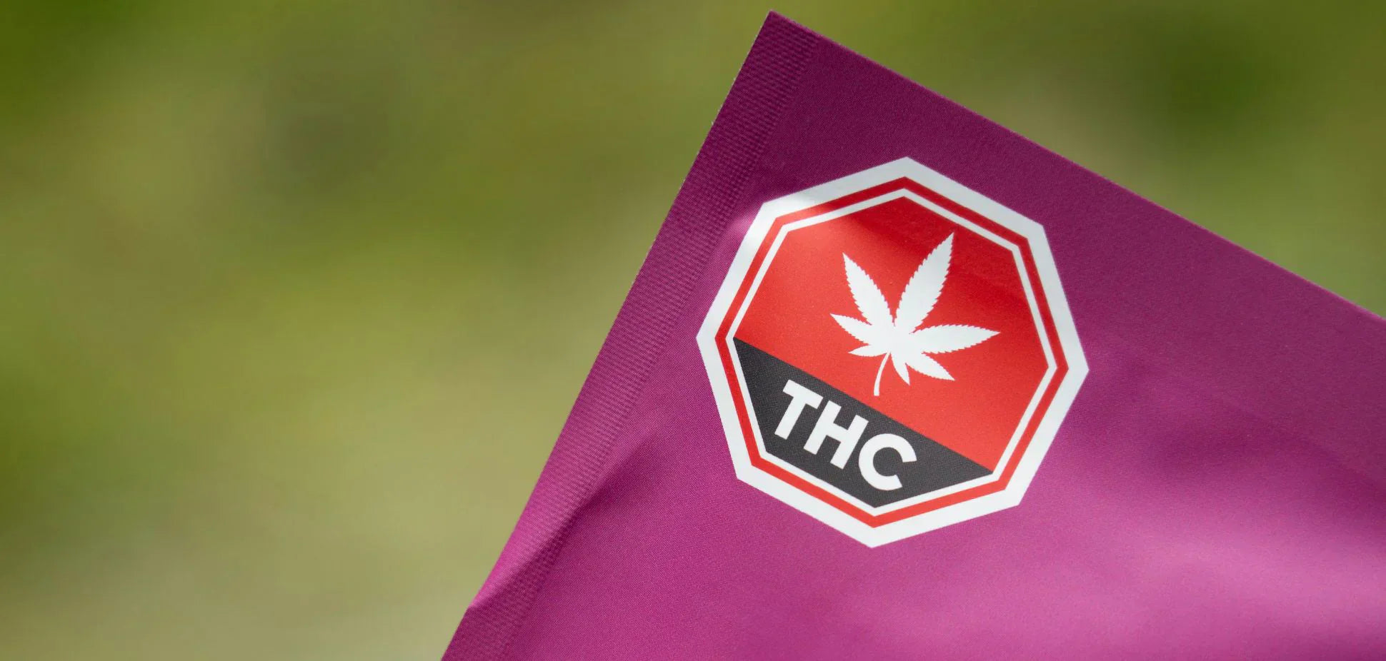 Medical vs. Recreational in Canada: 5 Reasons Patients Come Out Ahead