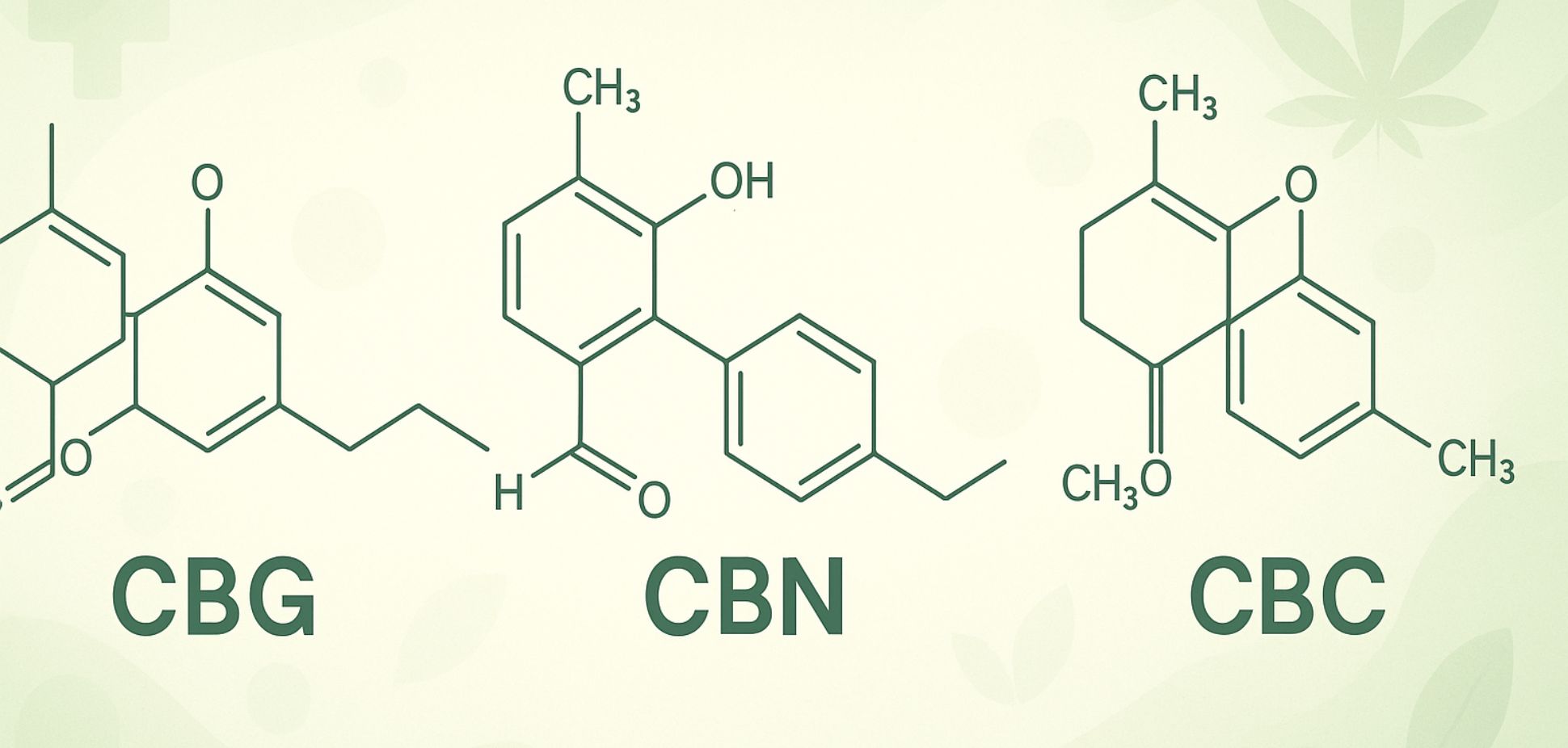Minor Cannabinoids, Major Impact: The Next Frontier in Cannabis Medicine