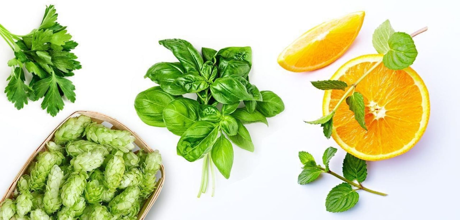 Meet Ocimene: The Sweet, Energizing Terpene You Didn’t Know You Loved