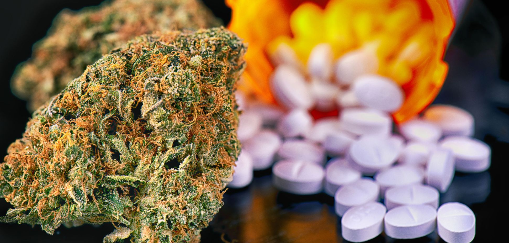 Medical Cannabis and Opioid Replacement: Harm Reduction Strategies