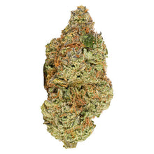 Load image into Gallery viewer, Viola Al '96-02