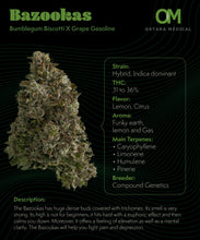 Load image into Gallery viewer, Bazookas-02