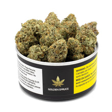 Load image into Gallery viewer, Mendoz Stomper-01