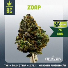 Load image into Gallery viewer, Zoap-02