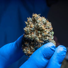 Load image into Gallery viewer, Lemon Loaf-02