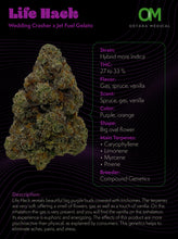 Load image into Gallery viewer, Life Hack-05