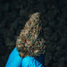 Load image into Gallery viewer, Lemon Loaf-03