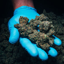 Load image into Gallery viewer, Lemon Loaf-04