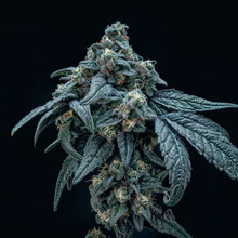 Load image into Gallery viewer, Lemon Loaf-07