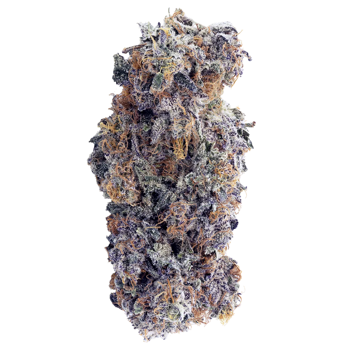 Purple God-01