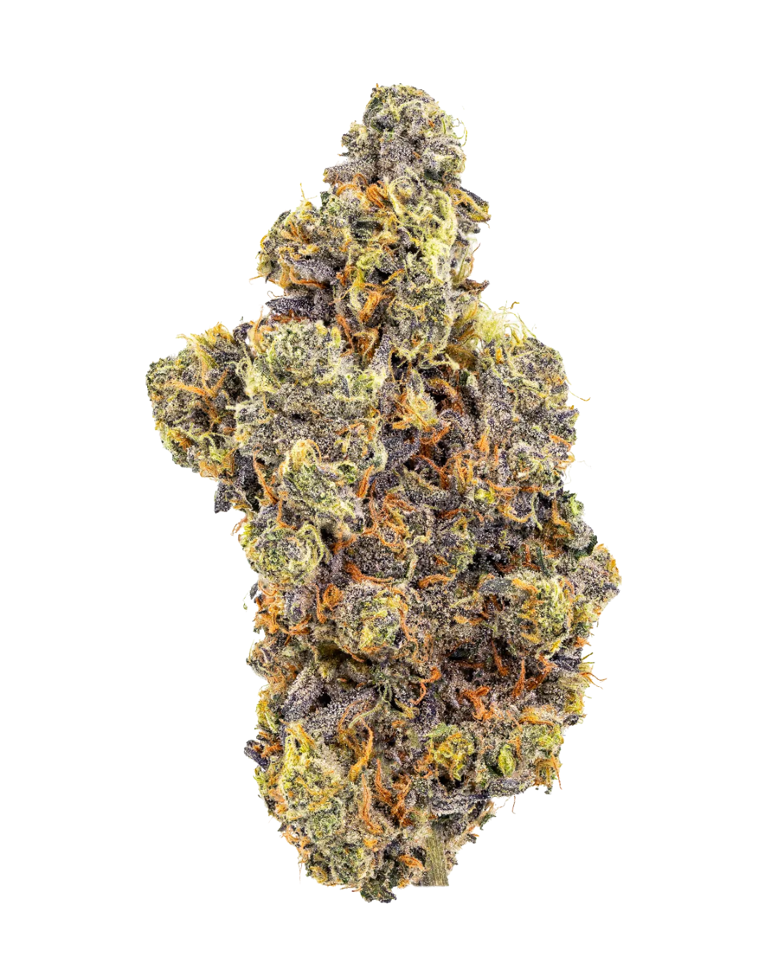 Mint Chocolate Chip-01