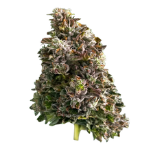 Load image into Gallery viewer, Bazookas-01