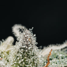 Load image into Gallery viewer, Lemon Loaf-05