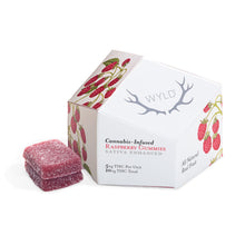 Load image into Gallery viewer, Real Fruit Raspberry Gummies-02