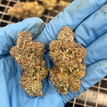 Load image into Gallery viewer, Strawberry Falcon-05