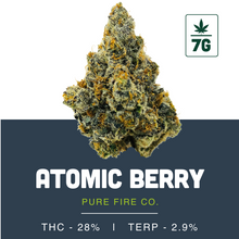 Load image into Gallery viewer, Atomic Berry-03