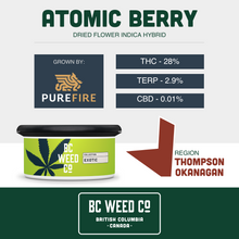 Load image into Gallery viewer, Atomic Berry-02