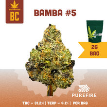 Load image into Gallery viewer, Bamba #5-01