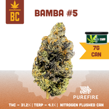 Load image into Gallery viewer, Bamba #5-02