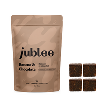 Charger l'image dans la galerie, Banana & Chocolate CBD Fruit Bites-01
