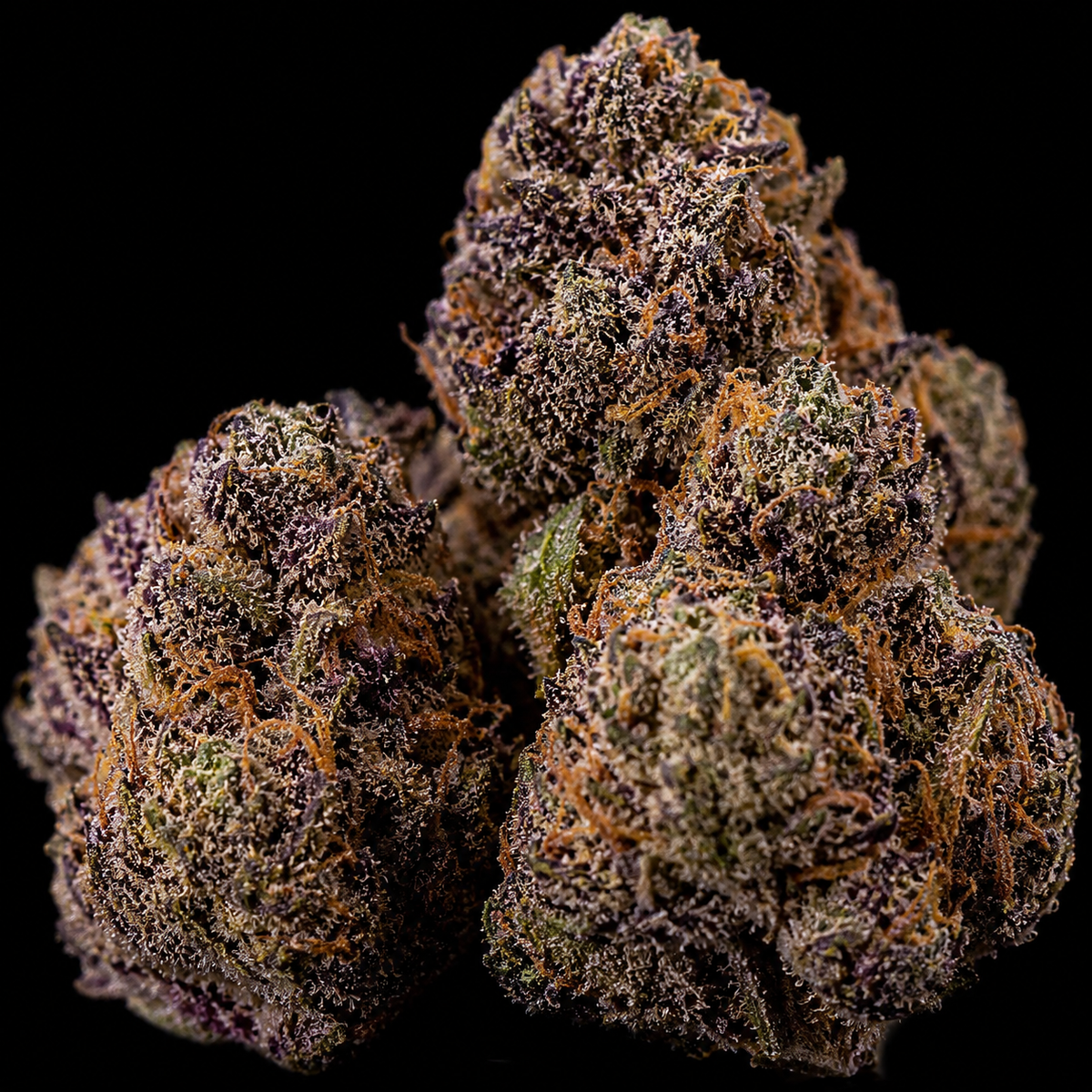 Inferno Blaze-01