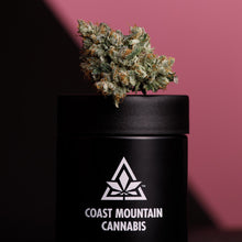 Load image into Gallery viewer, Pemberton Pink-07