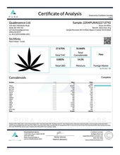 Load image into Gallery viewer, Sin Mints-06