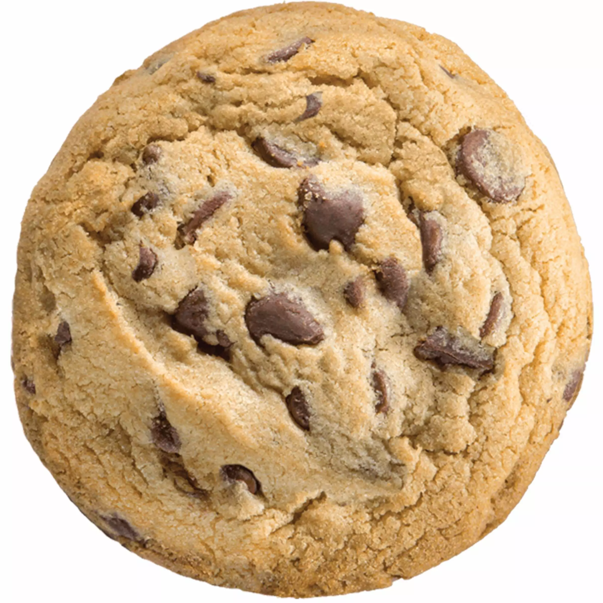 Chocolate Chip Cookie-01