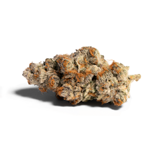 Load image into Gallery viewer, Gumi-01