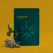 Load image into Gallery viewer, Crescendo-06