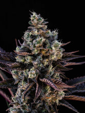 Load image into Gallery viewer, Crunch Berries-07