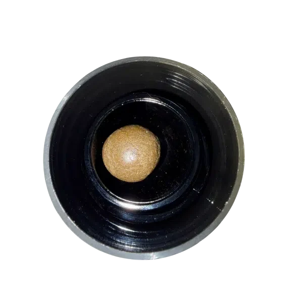 Cap Junky Temple Ball Hash-01