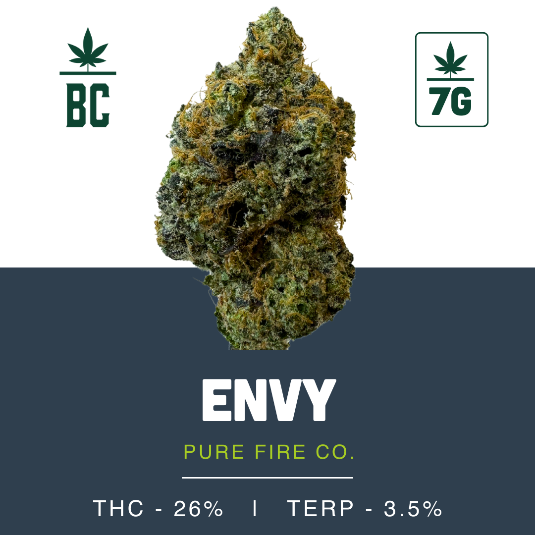 Envy-03