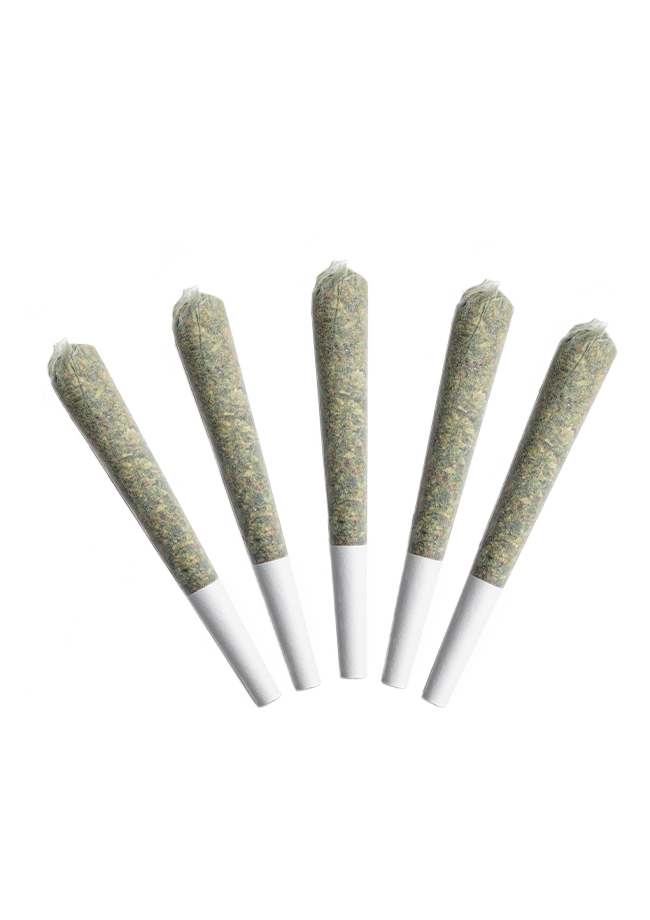 PLPK Pre-rolls-02