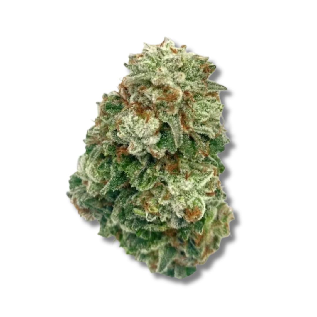 GG4 Chocolate Diesel Pheno-01