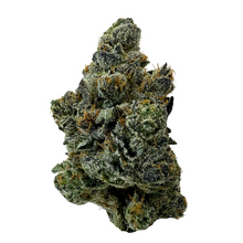 Load image into Gallery viewer, Forum Cut (GSC)-01