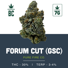 Load image into Gallery viewer, Forum Cut (GSC)-03