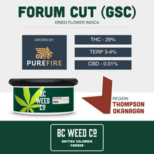 Load image into Gallery viewer, Forum Cut (GSC)-02