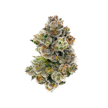 Load image into Gallery viewer, Kiwi Sherbert-01