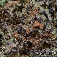 Load image into Gallery viewer, Kiwi Sherbert-02