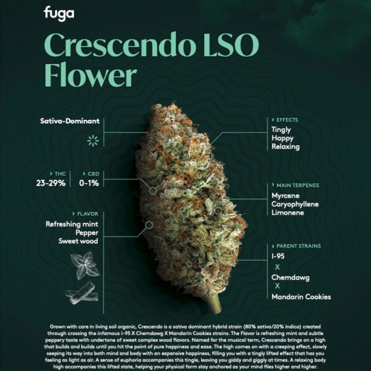 Crescendo-07
