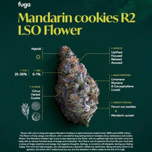 Load image into Gallery viewer, Mandarin Cookies-05