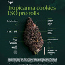 Load image into Gallery viewer, Tropicanna Cookies Pre-Rolls-03