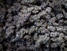 Charger l'image dans la galerie, Mint Chocolate Chip-05