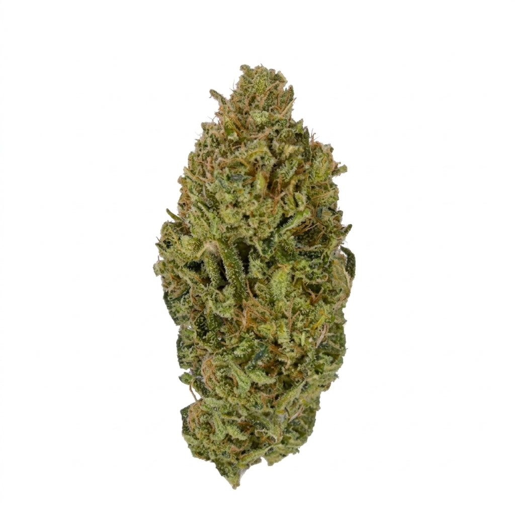 Moby Dick Smalls-01