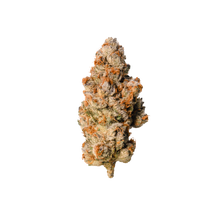 Load image into Gallery viewer, Gumi-02