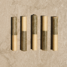 Load image into Gallery viewer, CBZ™ - CBN + CBD 180 Infused Pre-Roll Winter Mint Terpene 3 pack-02