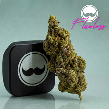 Load image into Gallery viewer, Stash Club Flawless-02