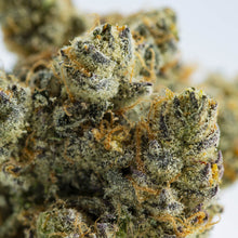 Load image into Gallery viewer, Stash Club Grape-03